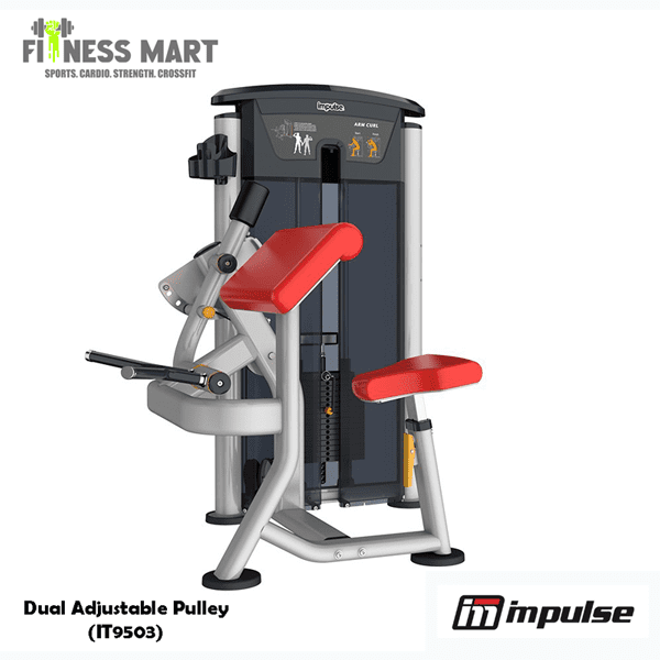 arm-curl-impulse-it9503 Arm Curl – IMPULSE – IT9503 - Image 1