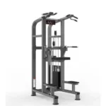 Chin/Dip Assist – Realleader USA-M2-1020
