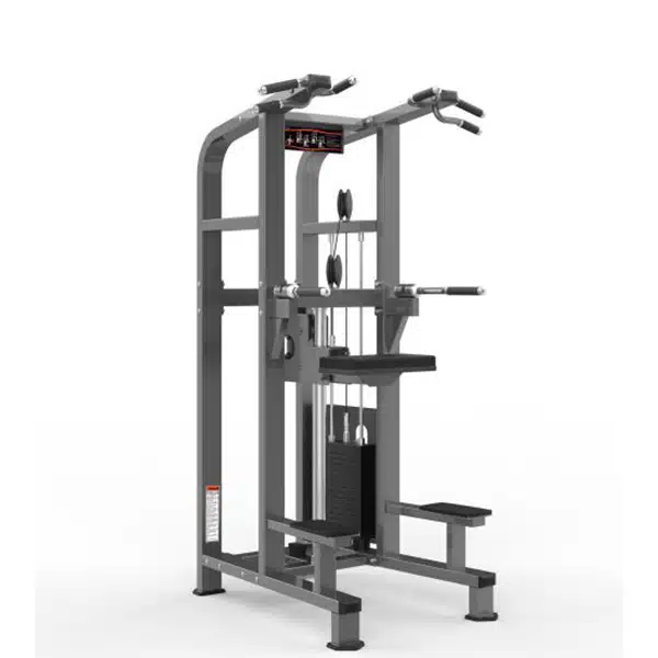 chin-dip-assist-realleader-usa-m2-1020 Chin/Dip Assist – Realleader USA-M2-1020 - Image 1