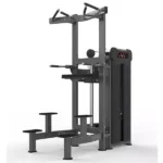 Chin Dip Assist – Realleader USA – M3-1020A