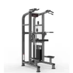 Chin/Dip Assist – Realleader USA – PF-1008