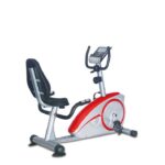 Daily Youth Premium Recumbent Bike FD5021