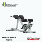 Daily Youth Roman Bench/Back Extension (GC108)