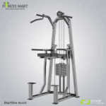 DHZ Dip Chin Assist-JN3009T