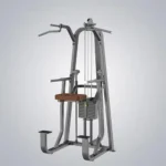DHZ Chin Dip Assist Machine-T1009