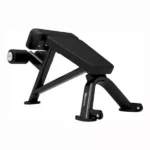 Impulse ITF8404 Roman Bench