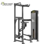 OEMMEBI Italian IRFB1513 Dip & Chin Assist Machine