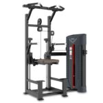 Daily Youth Chin Up-Dips Assist Machine-FA9008