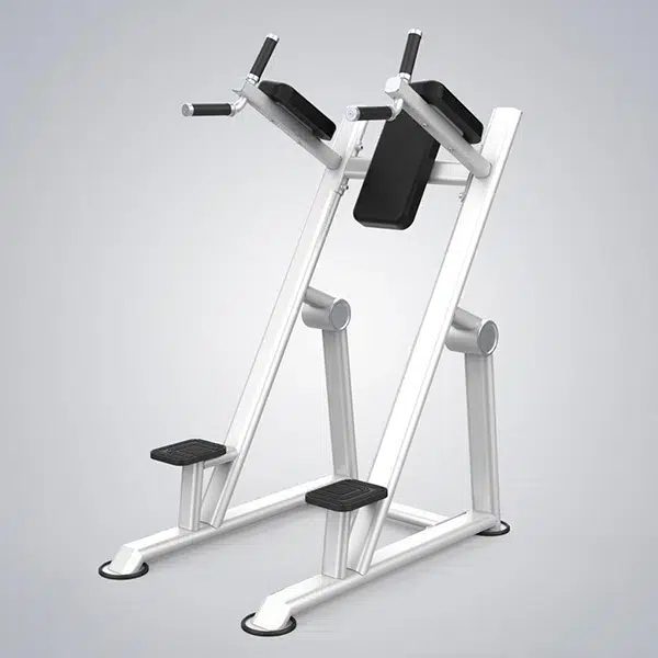 professional-premium-vertical-knees-up-dip-machine-dhz-u2047 Professional Premium Vertical Knees Up/Dip Machine – DHZ – U2047 - Image 1