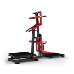 Realleader Standing Lateral Raise/Rear Deltoid-HS 1050