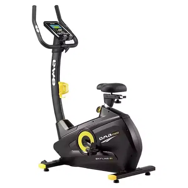 skyline-exercise-bike-oma-b20 Skyline Exercise Bike-OMA-B20 - Image 1